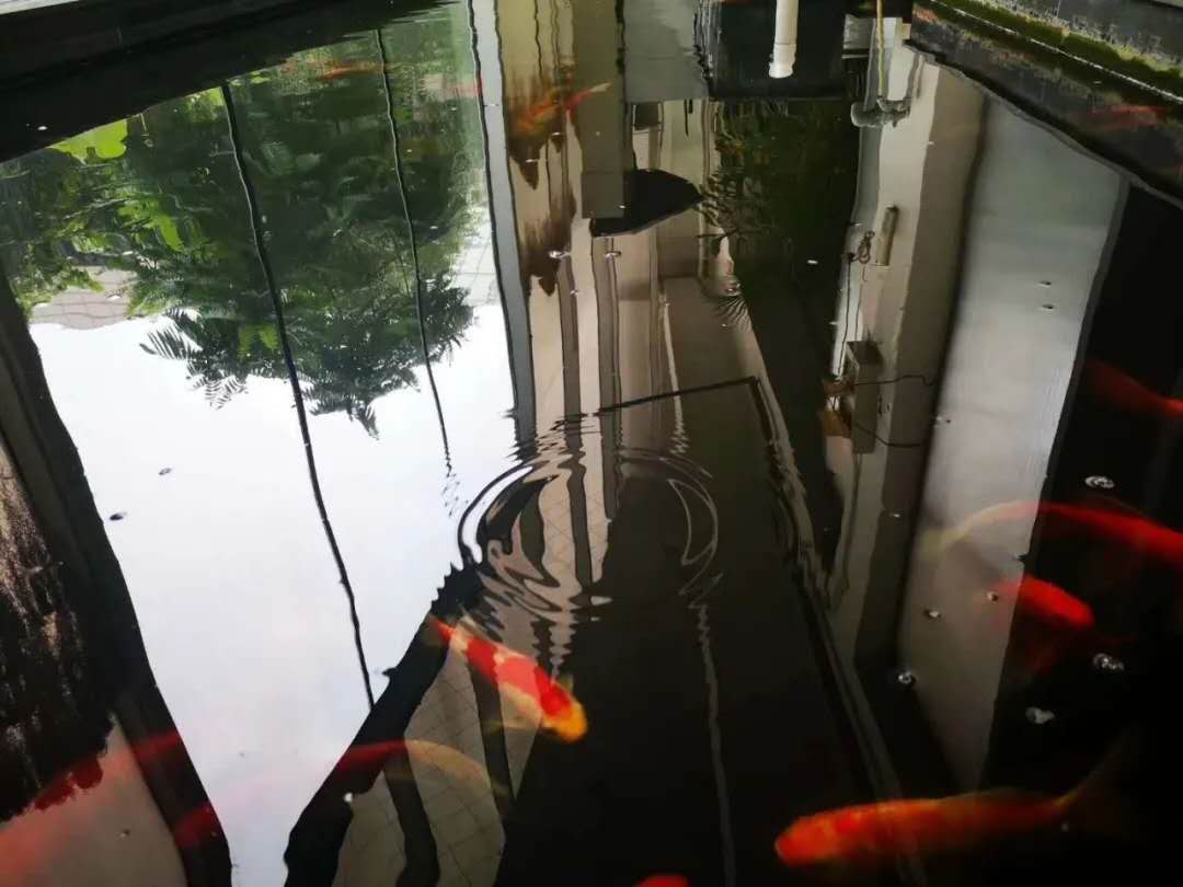 1594004112820544.jpg b49d46b823ae7367ec5e84ee8b15854.jpg